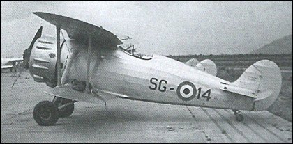 Ro.41